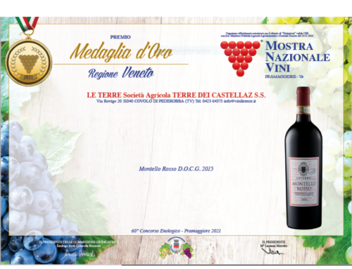 MEDAGLIA D’ORO – MONTELLO ROSSO DOCG 2015
