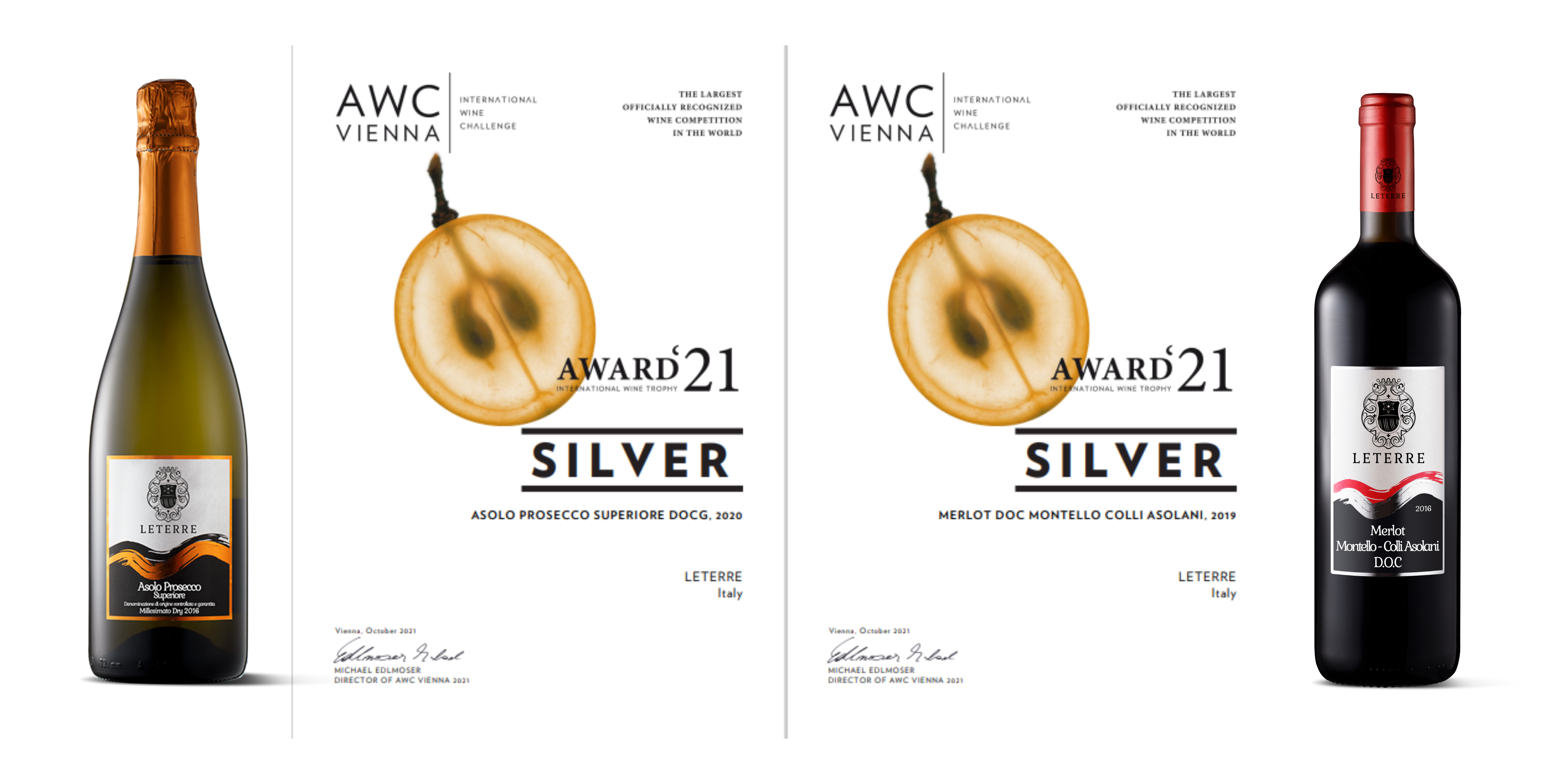 SILVER MEDAL – AWC VIENNA 2021